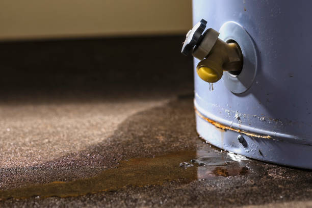 Carpet water damage restoration in Toccoa, GA