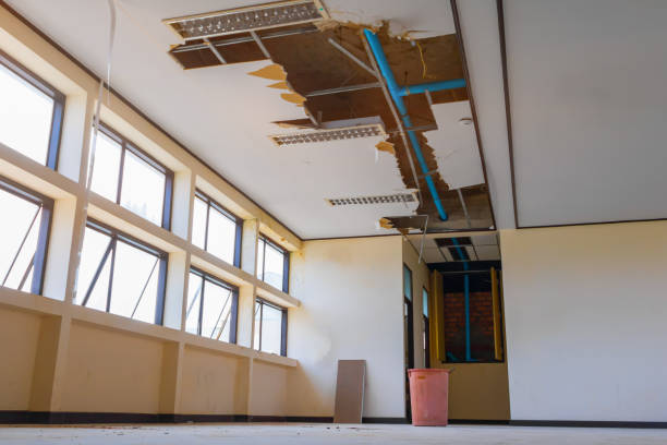 Best Water damage restoration insurance claims  in Toccoa, GA