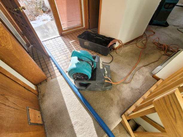Best Professional water damage repair  in Toccoa, GA