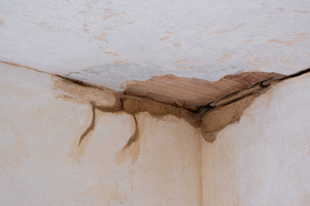 Best Ceiling water damage repair  in Toccoa, GA