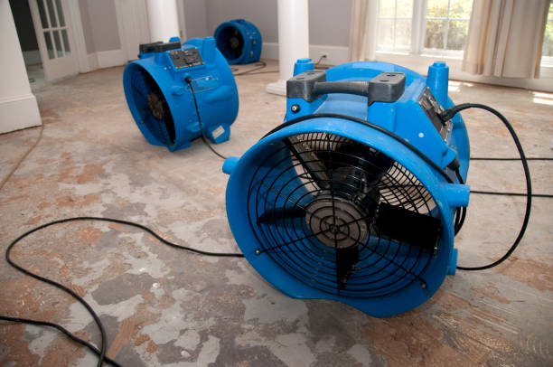 Carpet water damage restoration in Toccoa, GA