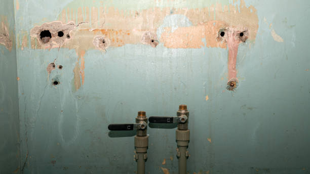 Best Water damage restoration company  in Toccoa, GA