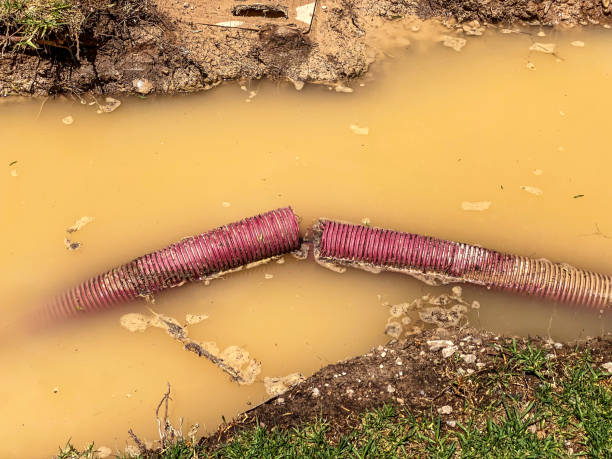 Best Commercial water damage restoration  in Toccoa, GA
