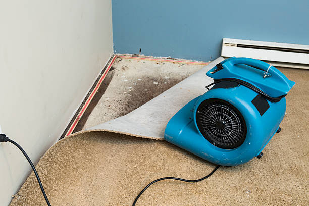 Local water damage restoration in Toccoa, GA